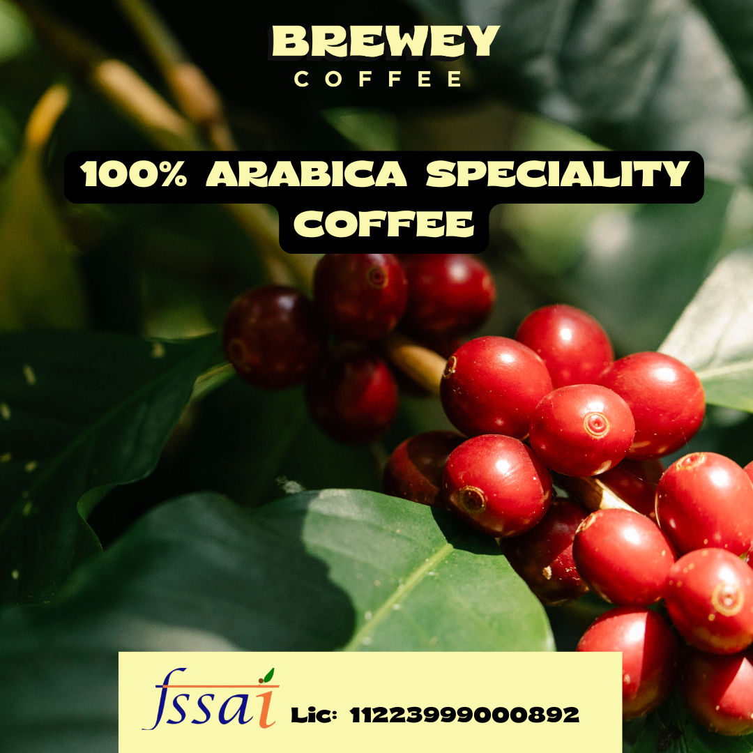 Midberry Breeze Whole Beans - Chikmagalur Sun-Dried Hazelnut Berry Flavor, Mild Bitterness, 100% Arabica, Freshly Medium Roasted Coffee