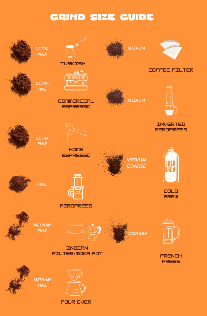 Midberry Breeze Whole Beans - Chikmagalur Sun-Dried Hazelnut Berry Flavor, Mild Bitterness, 100% Arabica, Freshly Medium Roasted Coffee